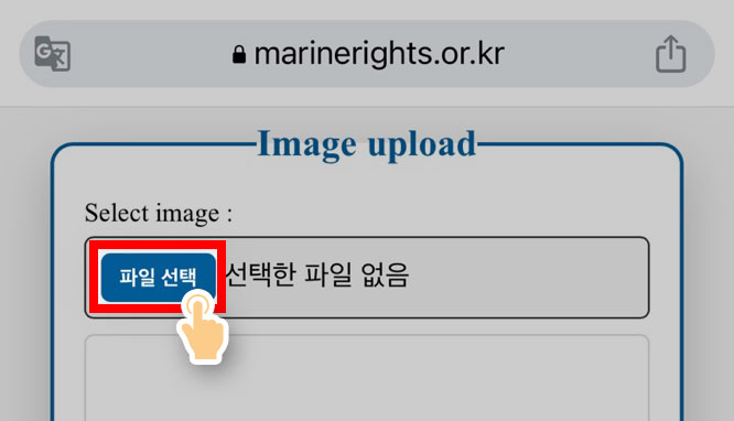 파일선택 클릭